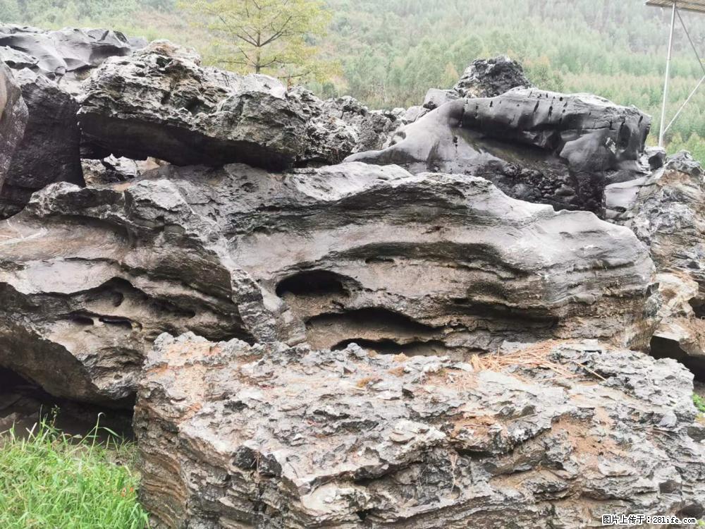 风景石、假山石大量有货，有需要的欢迎联系 - 新手上路 - 海北生活社区 - 海北28生活网 haibei.28life.net