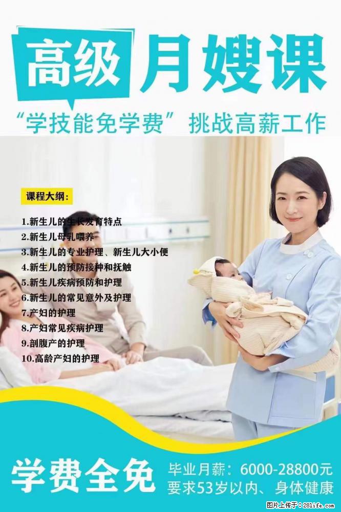 为什么要学习月嫂，育婴师？ - 其他广告 - 广告专区 - 海北分类信息 - 海北28生活网 haibei.28life.net