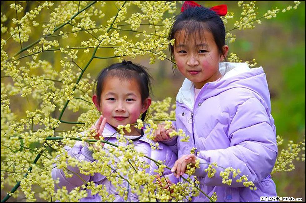 【春天，广西桂林灌阳县向您发出邀请！】米珠山前有片山苍子花在飘香 - 游山玩水 - 海北生活社区 - 海北28生活网 haibei.28life.net