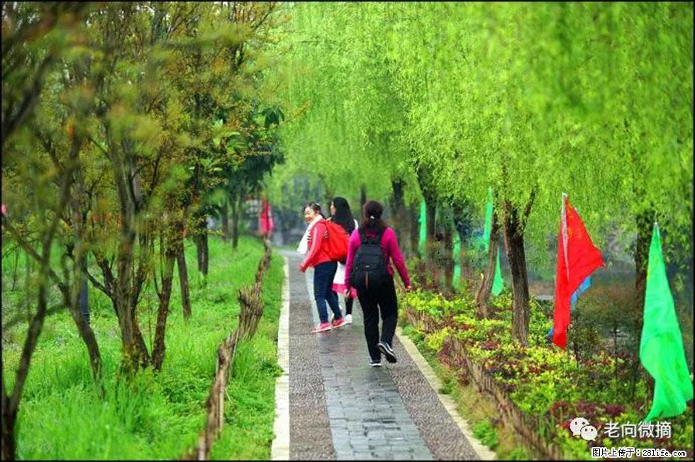 【春天，广西桂林灌阳县向您发出邀请！】江口老街又逢春 - 游山玩水 - 海北生活社区 - 海北28生活网 haibei.28life.net