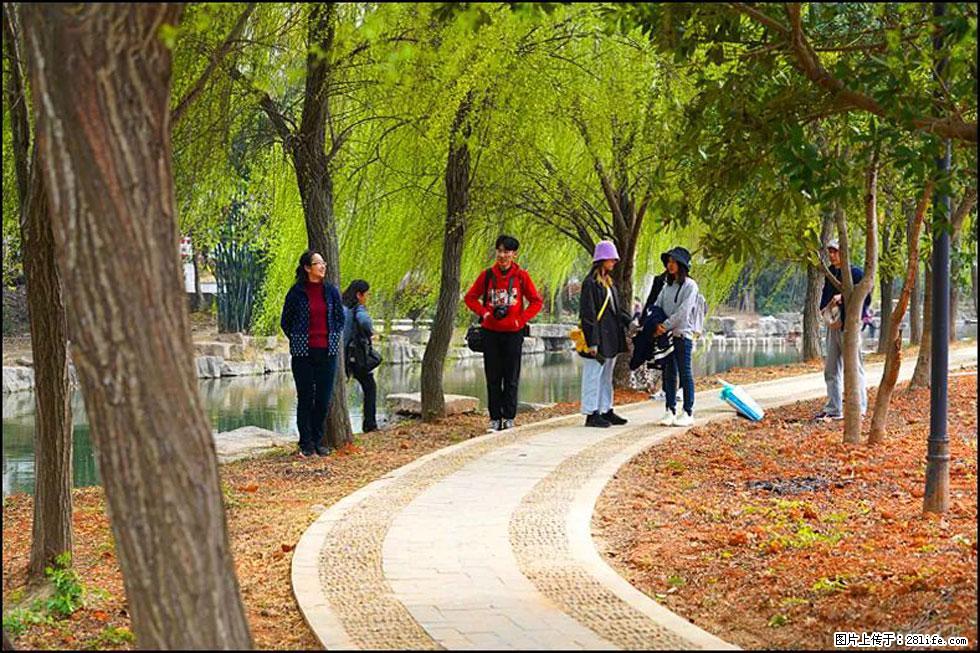 【春天，广西桂林灌阳县向您发出邀请！】江口老街又逢春 - 游山玩水 - 海北生活社区 - 海北28生活网 haibei.28life.net