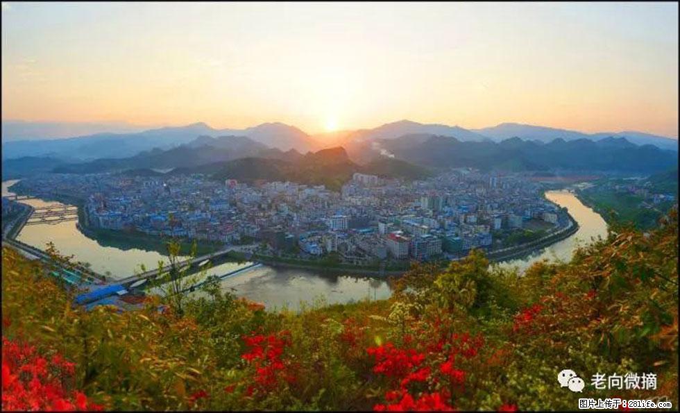 【春天，广西桂林灌阳县向您发出邀请！】登麒麟山，相约映山红 - 游山玩水 - 海北生活社区 - 海北28生活网 haibei.28life.net