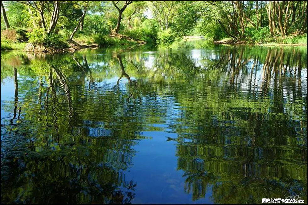 【春天，广西桂林灌阳县向您发出邀请！】熊家寨湿地公园 - 游山玩水 - 海北生活社区 - 海北28生活网 haibei.28life.net