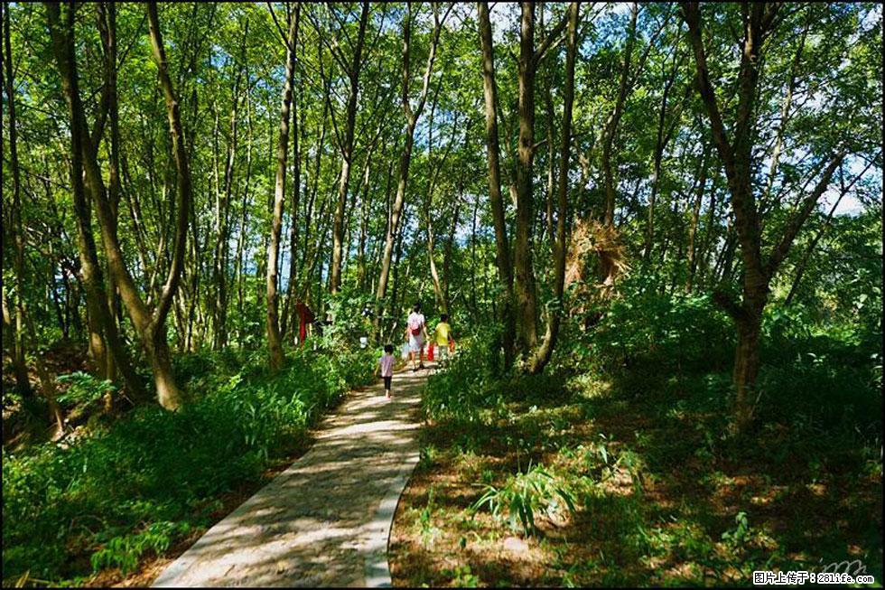 【春天，广西桂林灌阳县向您发出邀请！】熊家寨湿地公园 - 游山玩水 - 海北生活社区 - 海北28生活网 haibei.28life.net