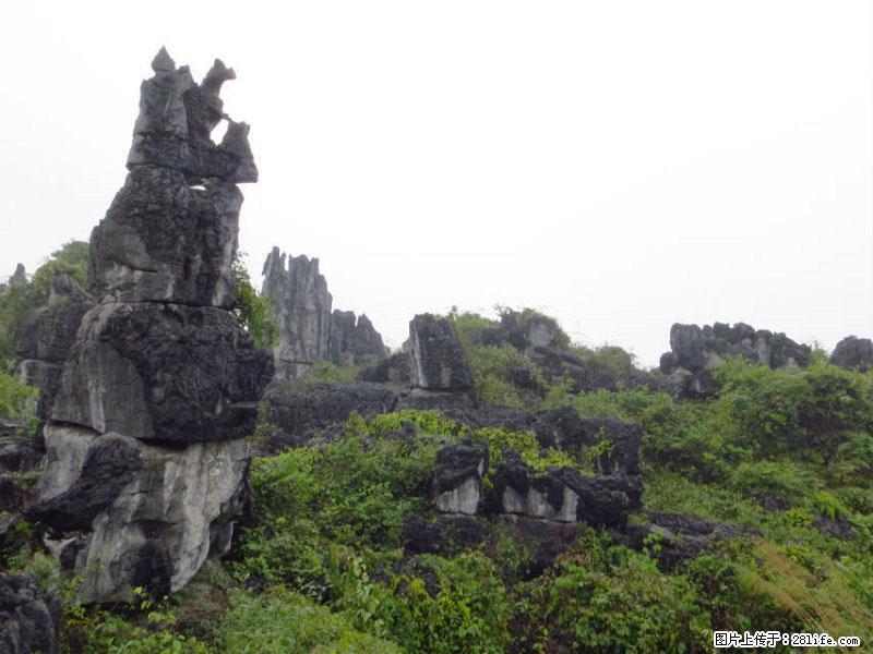 桂林旅游名城景点：灌阳文市石林 - 游山玩水 - 海北生活社区 - 海北28生活网 haibei.28life.net