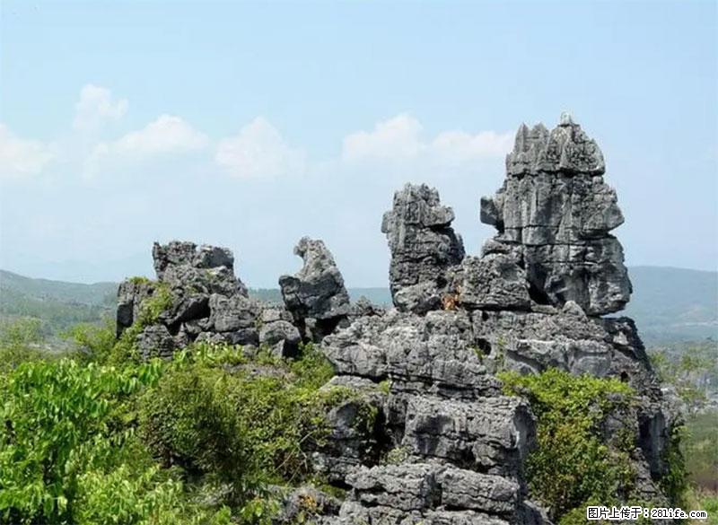 桂林旅游名城景点：灌阳文市石林 - 游山玩水 - 海北生活社区 - 海北28生活网 haibei.28life.net