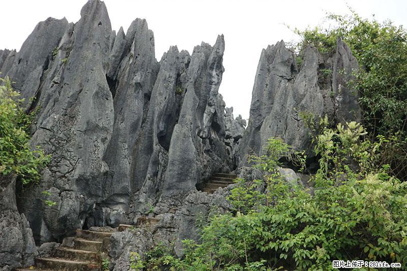 桂林旅游名城景点：灌阳文市石林 - 游山玩水 - 海北生活社区 - 海北28生活网 haibei.28life.net