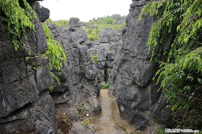 桂林旅游名城景点：灌阳文市石林 - 游山玩水 - 海北生活社区 - 海北28生活网 haibei.28life.net