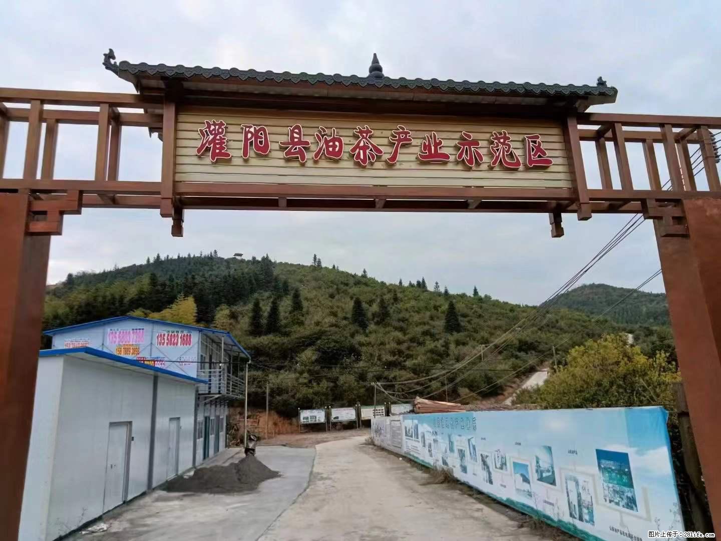 【灌阳县油茶产业示范区】一个有着充实的精神生活的人，对待身外之物自会有一种淡泊的态度 - 美食天地 - 海北生活社区 - 海北28生活网 haibei.28life.net