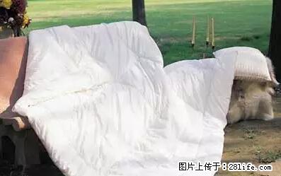 被子有异味？只要这样做，比晒太阳还强100倍！ - 家居生活 - 海北生活社区 - 海北28生活网 haibei.28life.net