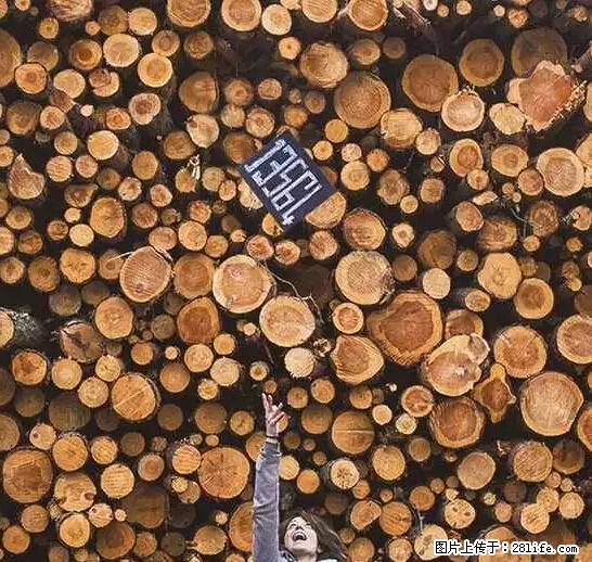 辞掉工作周游世界？现在他们在洗厕所…… - 游山玩水 - 海北生活社区 - 海北28生活网 haibei.28life.net