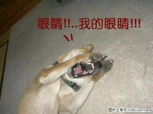 笑癫了！一女的怀孕三年未生，他终于忍不住了... - 娱乐八卦 - 海北生活社区 - 海北28生活网 haibei.28life.net