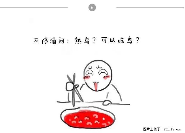 千万不要和这9种哈卵一起吃火锅！ - 美食天地 - 海北生活社区 - 海北28生活网 haibei.28life.net