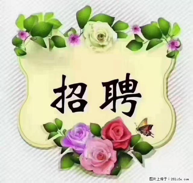 【招聘】住家育儿嫂，上户日期：4月4日，工作地址：上海 黄浦区 - 职场交流 - 海北生活社区 - 海北28生活网 haibei.28life.net