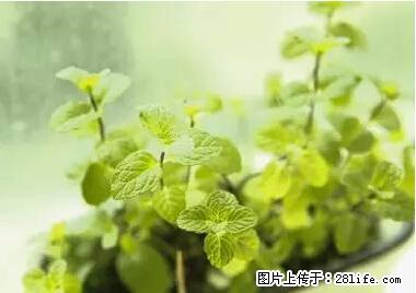 晕车、脚气、牙齿变黄、皮肤粗糙？学会这些三分钟搞定！ - 海北生活资讯 - 海北28生活网 haibei.28life.net