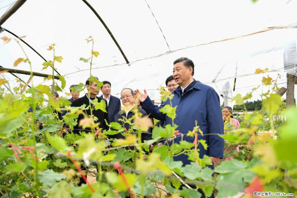 习近平赴广西考察调研 - 海北生活资讯 - 海北28生活网 haibei.28life.net