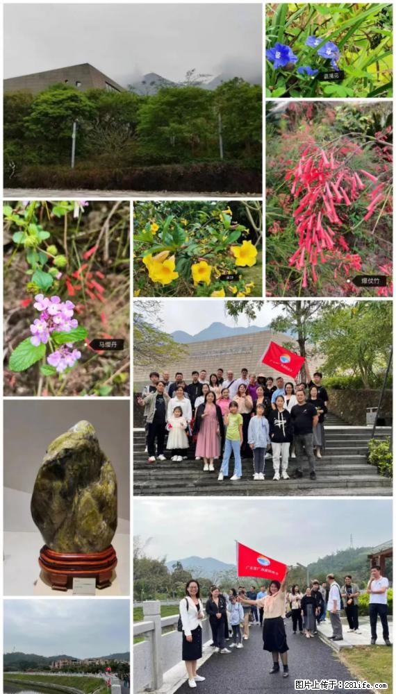 “粤灌文化 美好生活”油茶文化主题活动在广东深圳成功举办 - 海北生活资讯 - 海北28生活网 haibei.28life.net