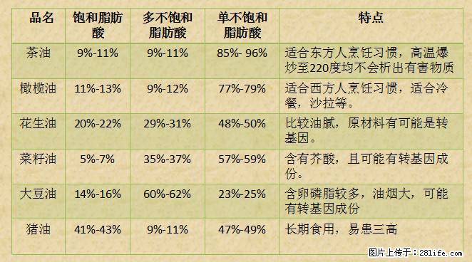 揭秘茶油的5大核心营养成分！被称为人体健康的“守护盾”！ - 海北生活资讯 - 海北28生活网 haibei.28life.net