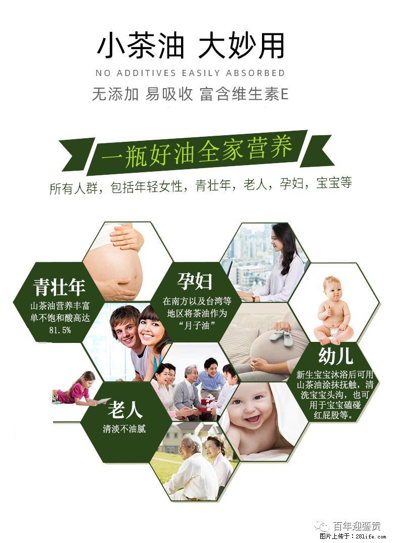 世界没有真相，只有认知，最好的食用油是中国的山茶油！ - 海北生活资讯 - 海北28生活网 haibei.28life.net