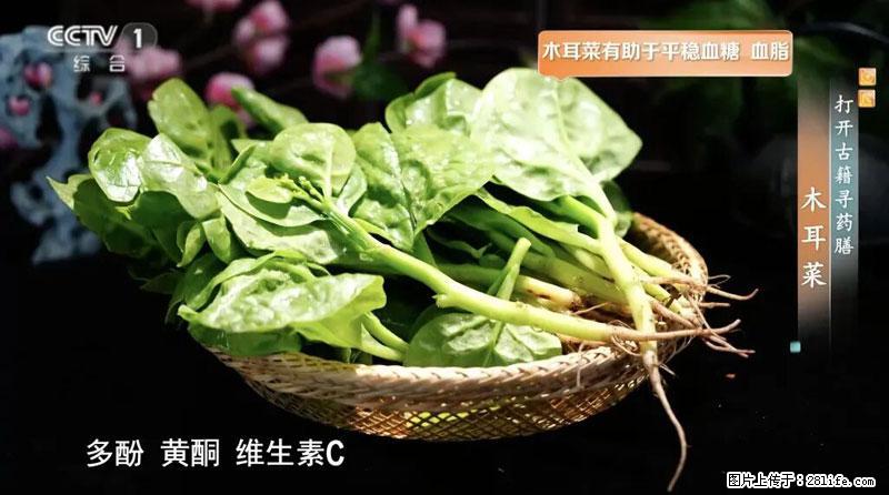 比牛奶补钙还厉害！凉血解毒、稳血糖...这菜冬天必吃，很多人却当草 - 海北生活资讯 - 海北28生活网 haibei.28life.net