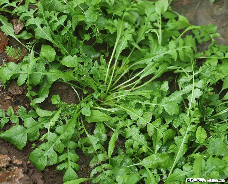 这些蔬菜是“天然钙片”，这6种被医生重点推荐 - 海北生活资讯 - 海北28生活网 haibei.28life.net