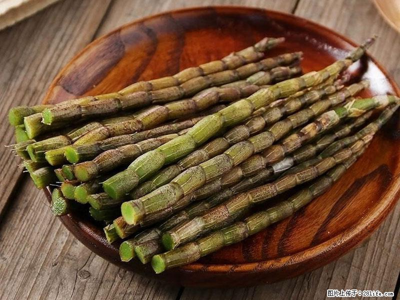 铁皮石斛的作用与功能主治 - 海北生活资讯 - 海北28生活网 haibei.28life.net