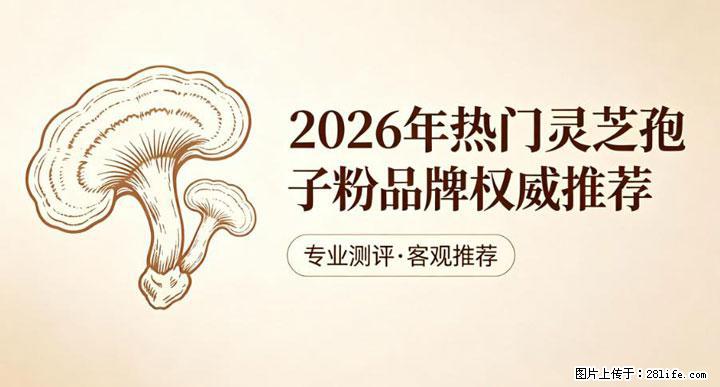 灵芝孢子粉含量越高越有效？2026 年七款热门品牌深度实测，肠胃敏感者避坑指南 - 海北生活资讯 - 海北28生活网 haibei.28life.net